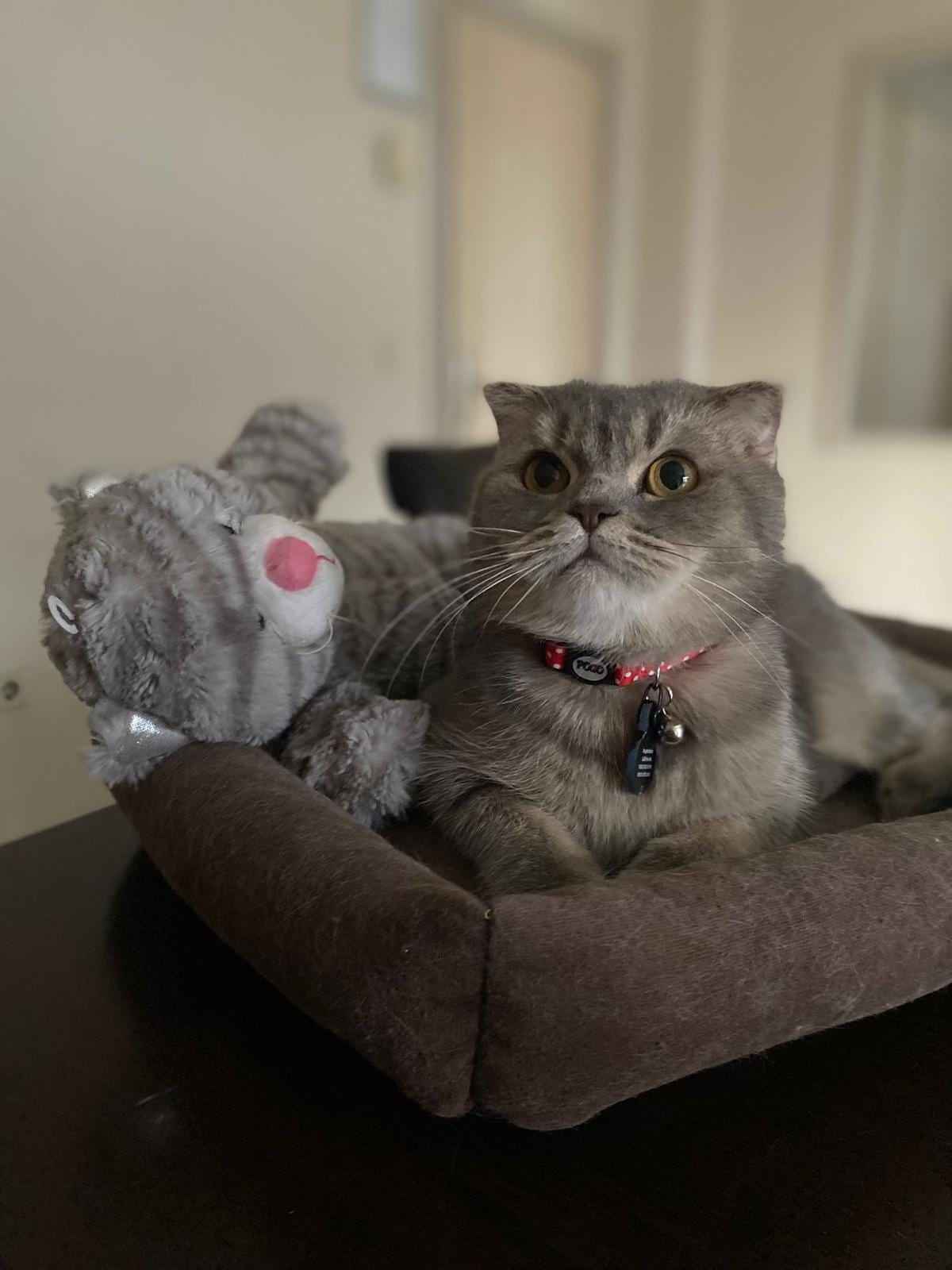 Max