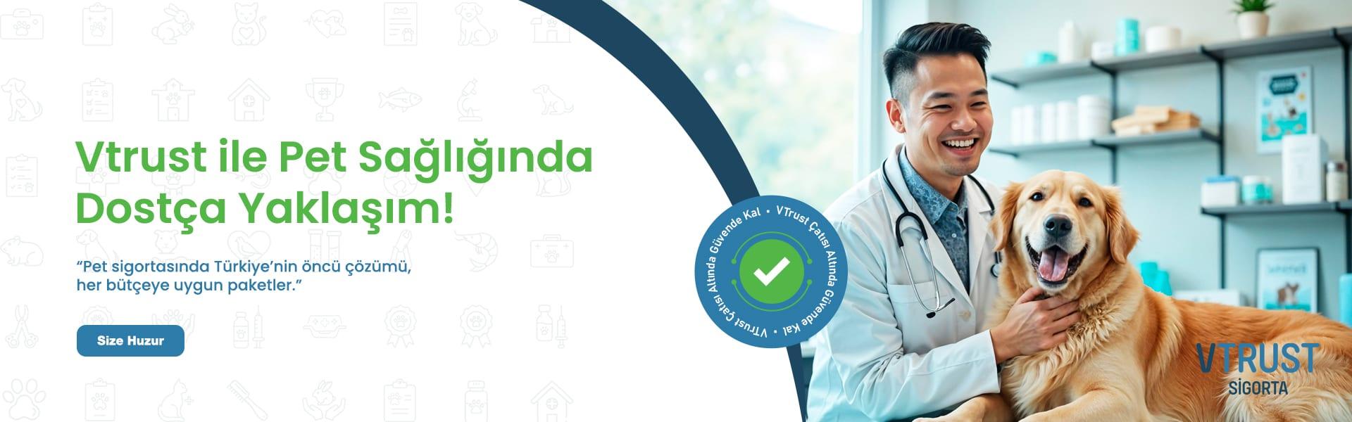 V TRUST ile pet sağlığında her bütçeye uygun evcil hayvan sigortası paketleri